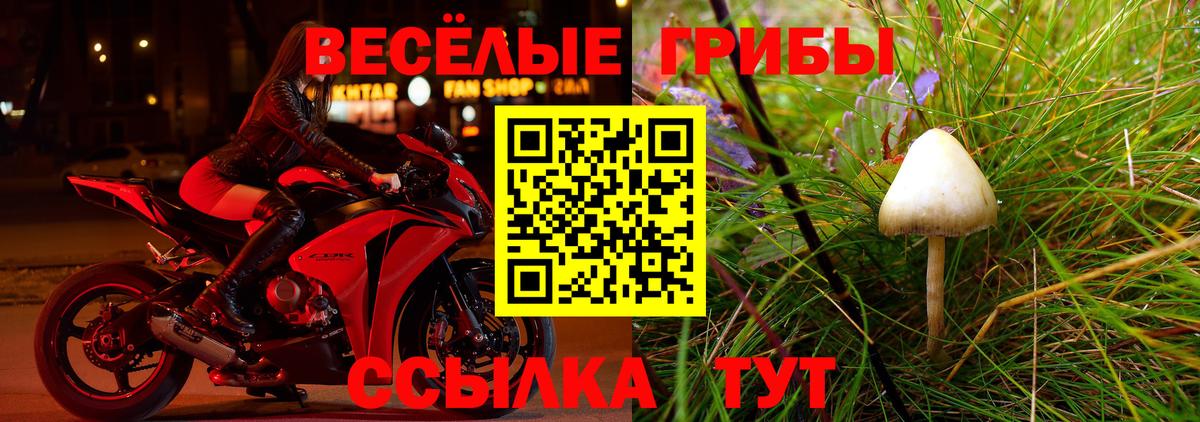 Галлюциногенные грибы Psilocybine cubensis  Вход с VPN  Туапсе 